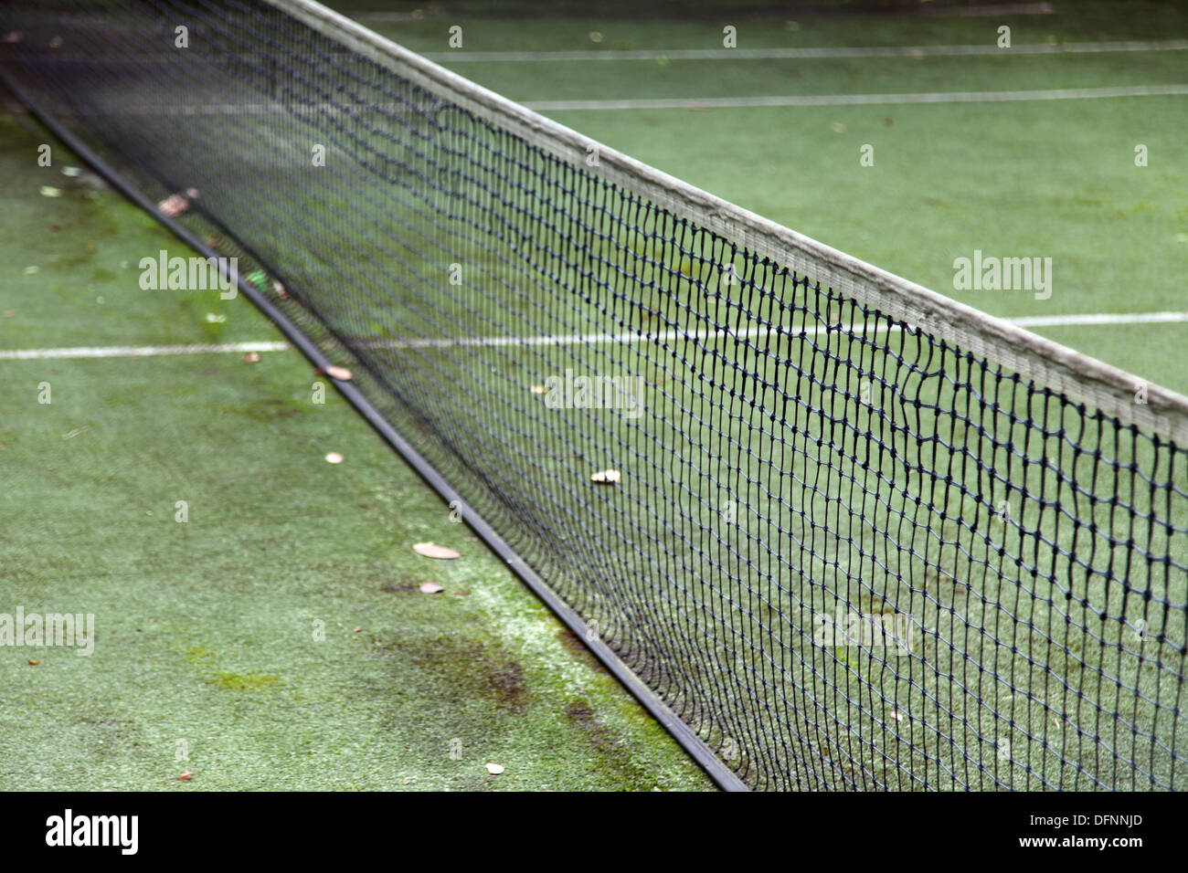It's a photo of a detail of a grass tennis court. We can see the white lines, the net. It's quite rough and dirty. Stock Photo