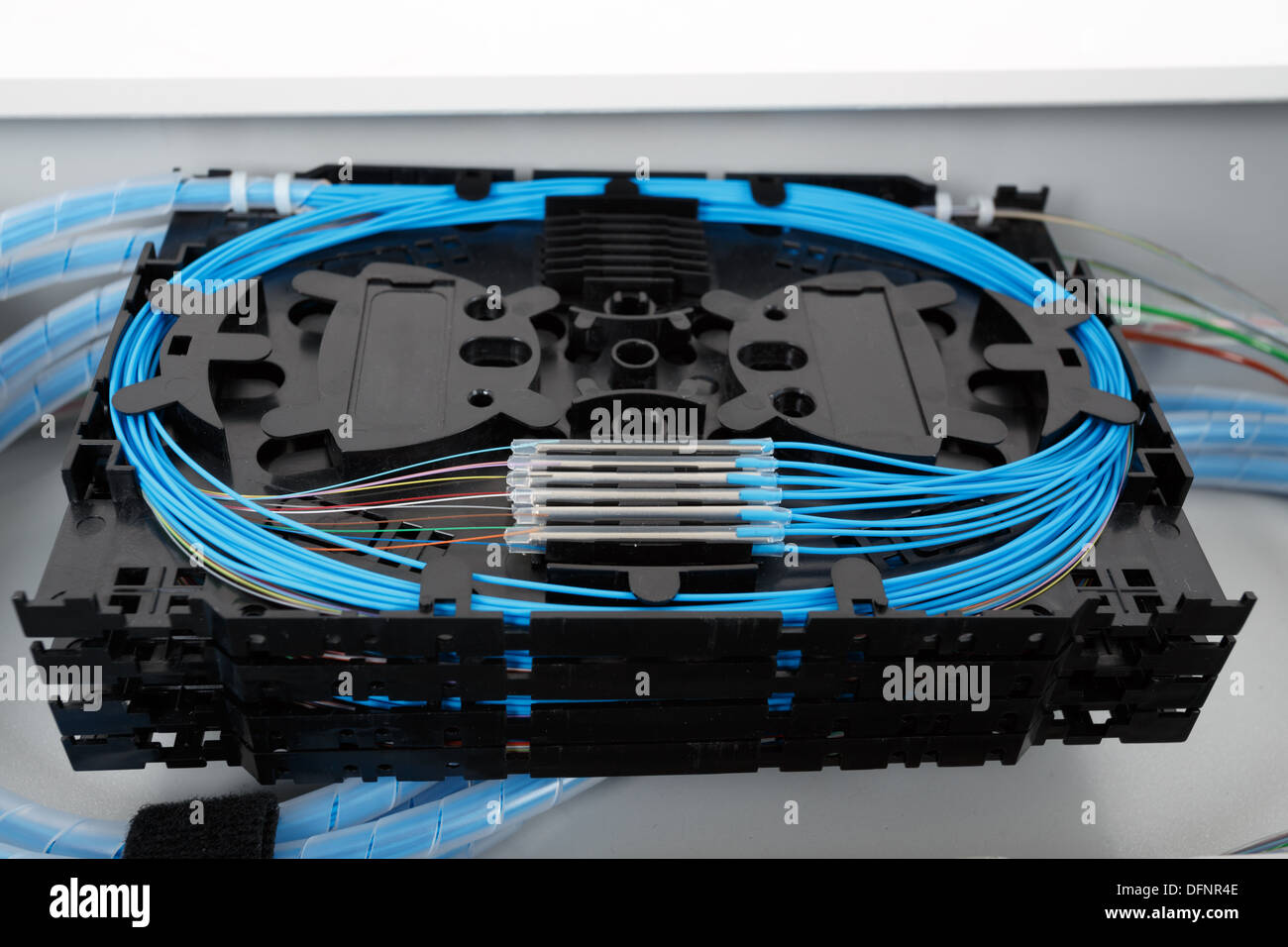 stack of fiber optic splice cassettes with protection sleeve and blue fibres installed in optical distribution frame Stock Photo