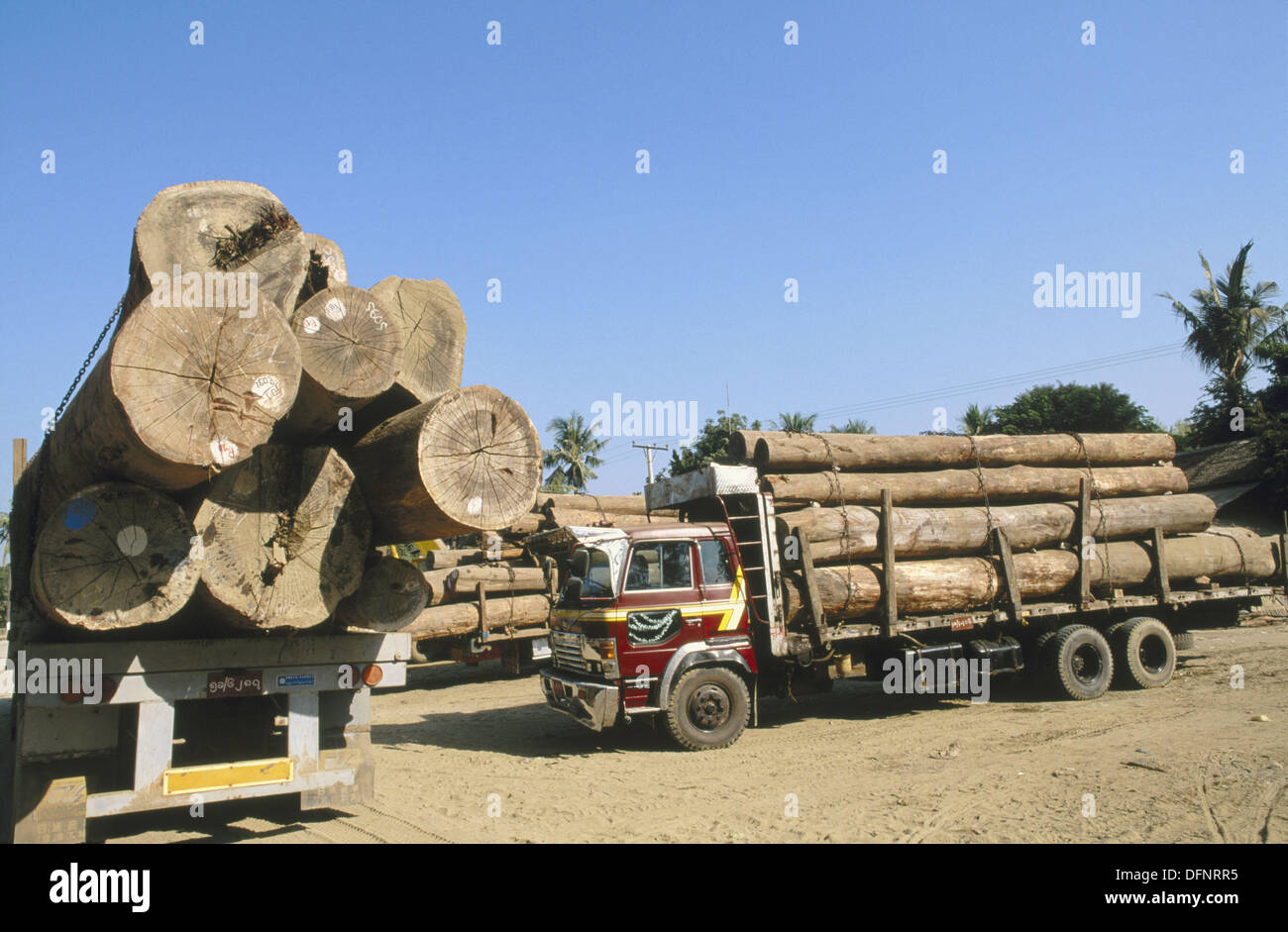 Teak wood. Mandalay. Myanmar (Burma Stock Photo Alamy
