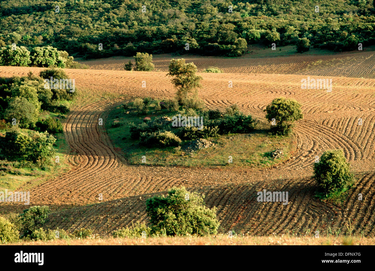 Castellar de santiago hires stock photography and images Alamy