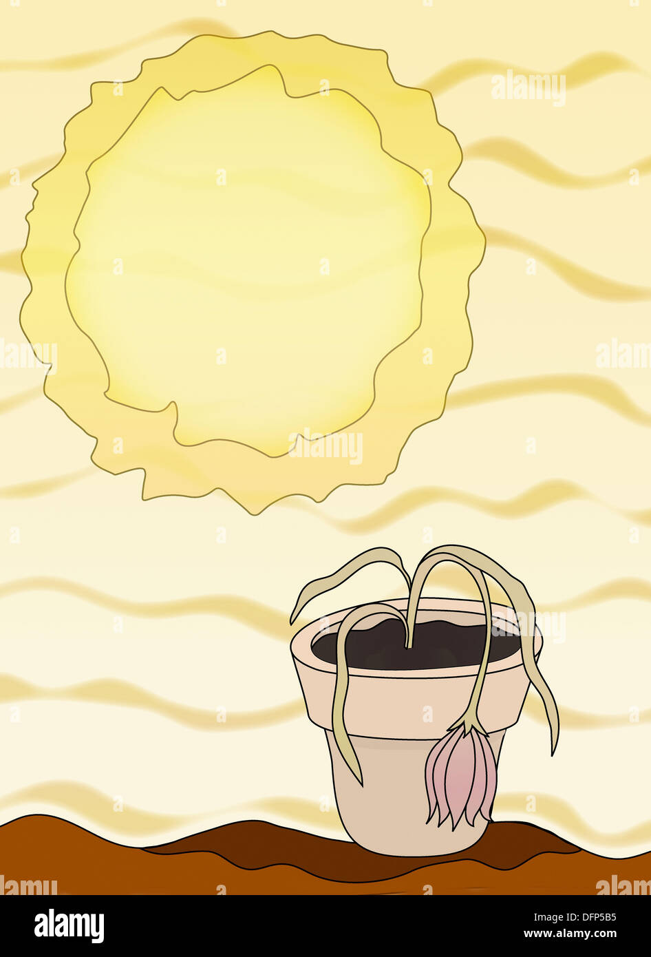 Wilted flower in the hot sun Stock Photo Alamy