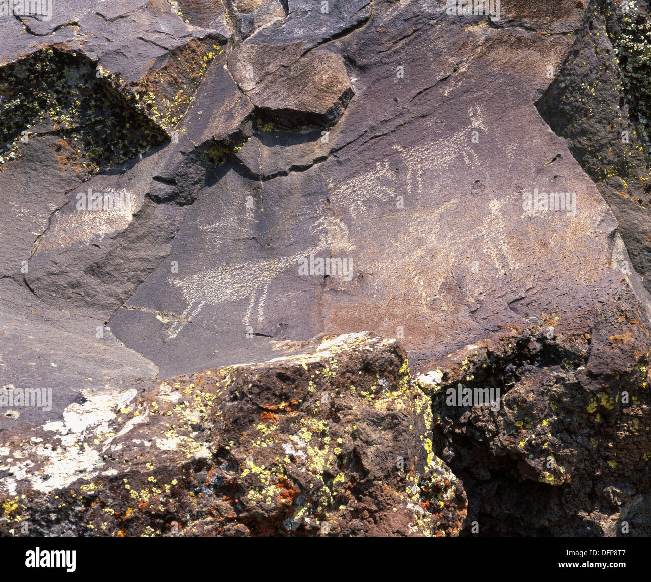 Native American Petroglyphs on basalt rock. Warner Valley. Hart