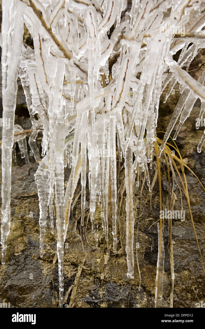 Icicles, Puerto del Escudo, Cantabria, Spain Stock Photo Alamy