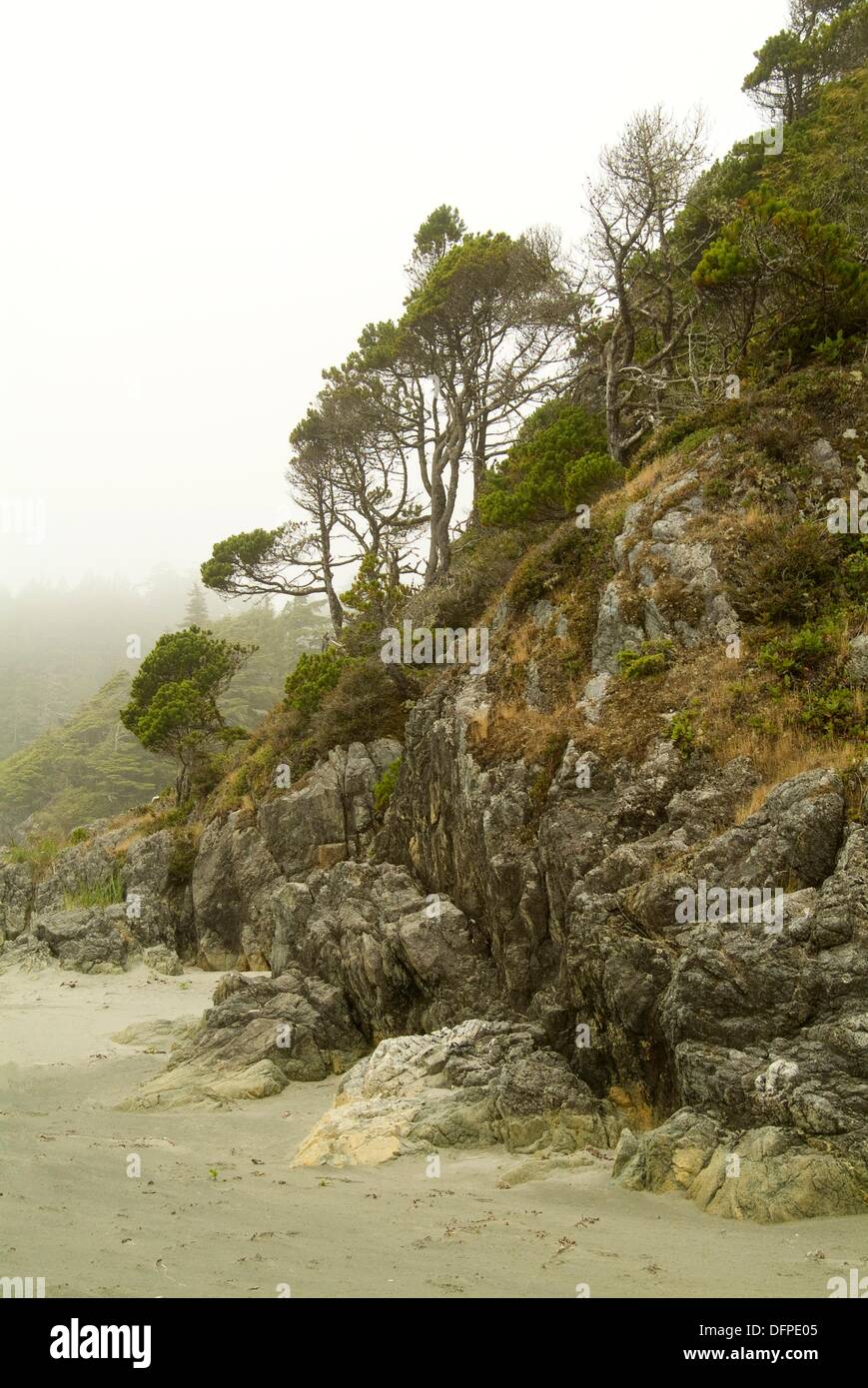 Flores island canada hires stock photography and images Alamy