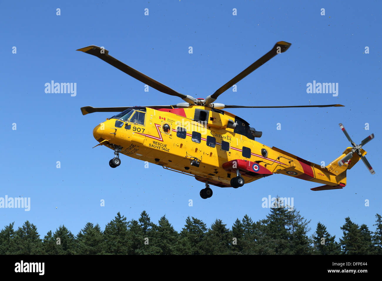 Canadian Forces  AgustaWestland CH-149 Cormorant Helicopter Descending Stock Photo