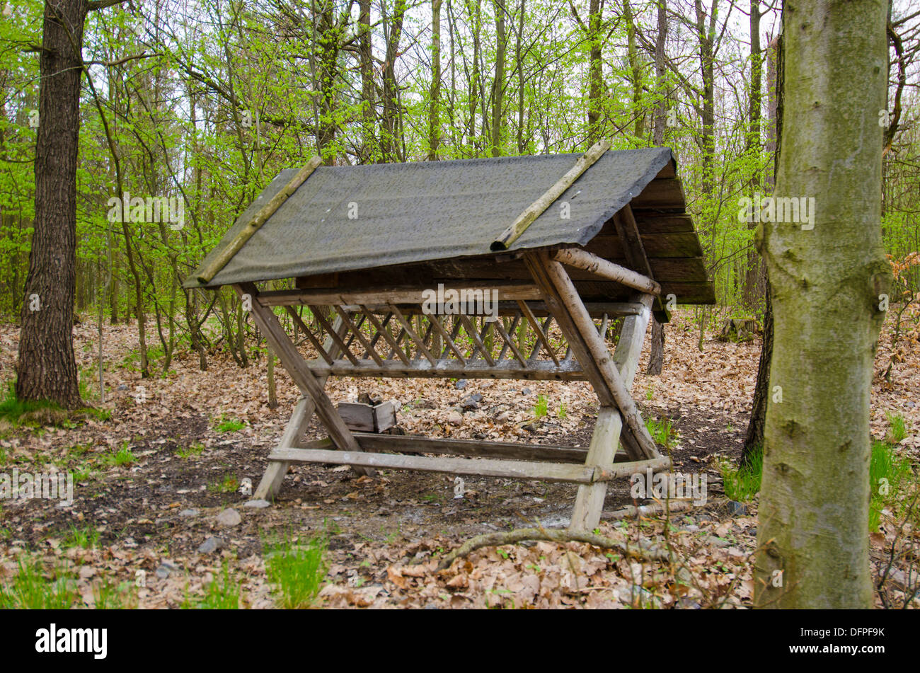 feeding-station-for-deer-czech-republic-DFPF9K.jpg