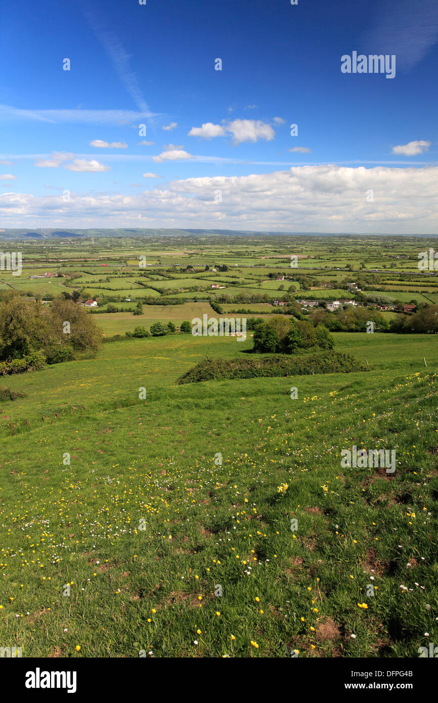 The village of East Brent, Somerset Levels, Somerset County, England