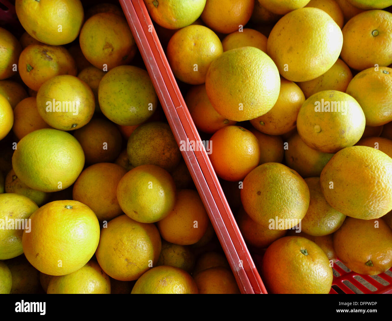 Boxed Oranges. Sierra Madre of México Stock Photo Alamy