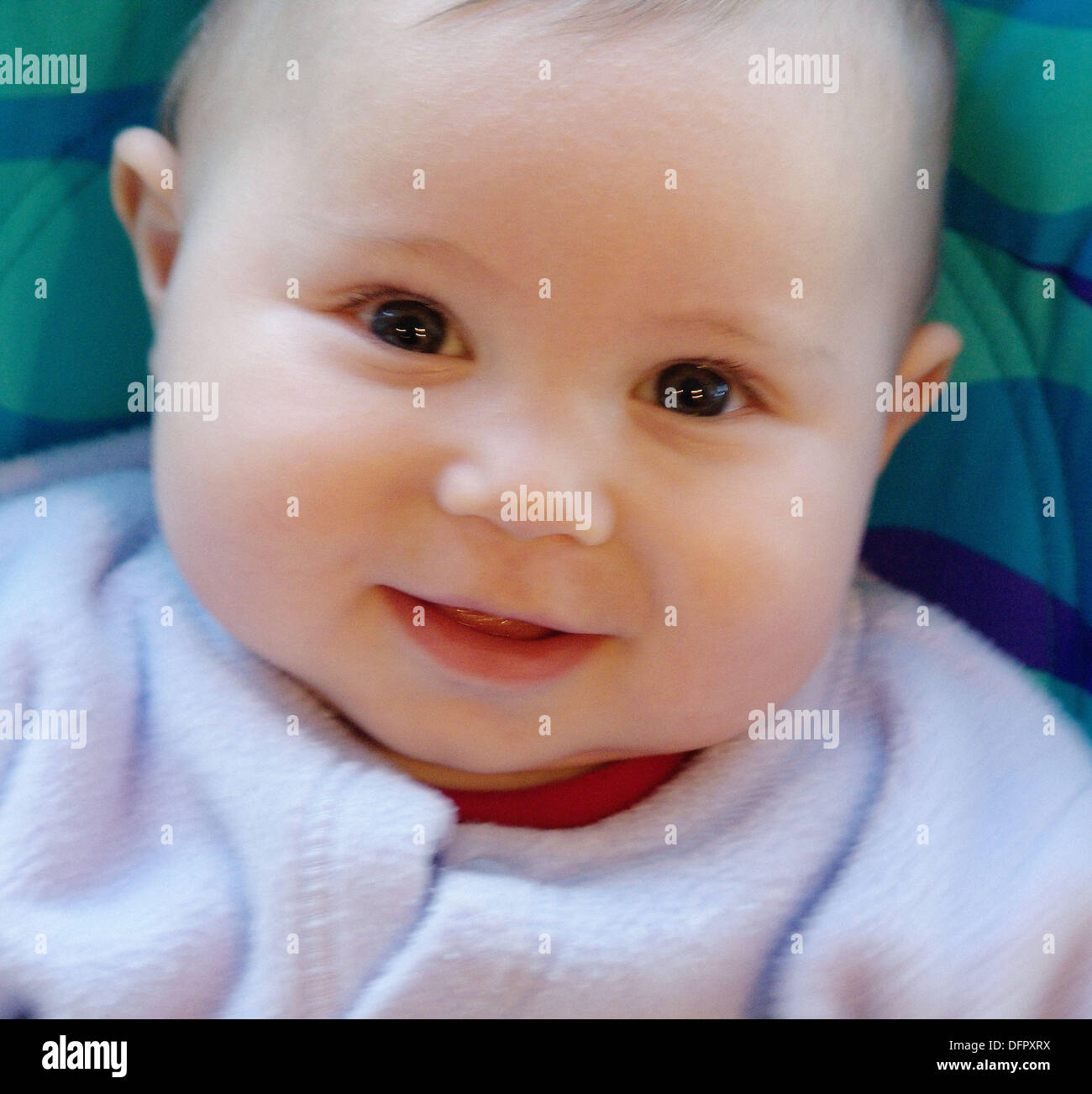 8 month old baby Stock Photo Alamy