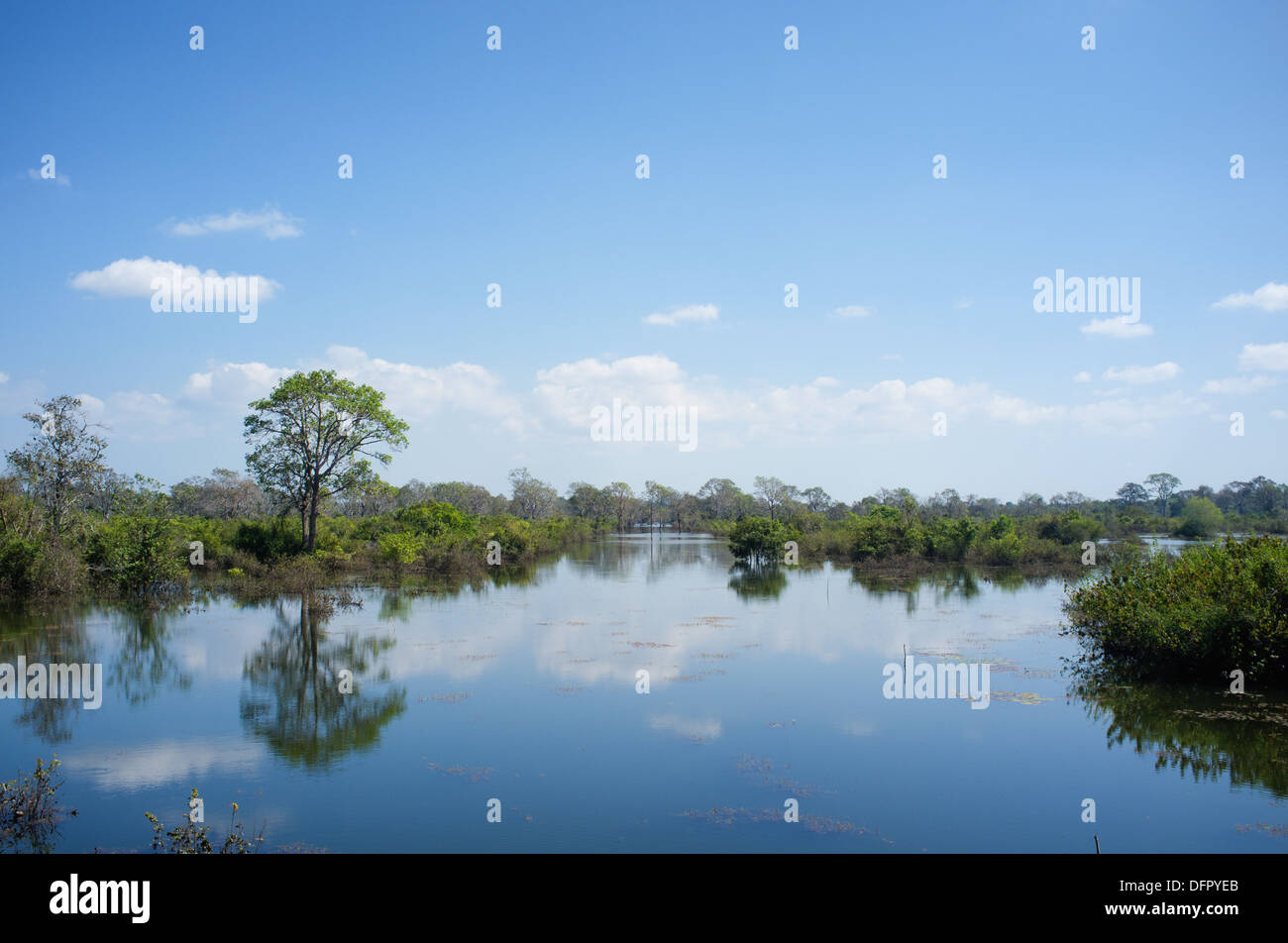 Beautiful natural scenery with lake near Siem Reap, Cambodia Stock Photo -  Alamy