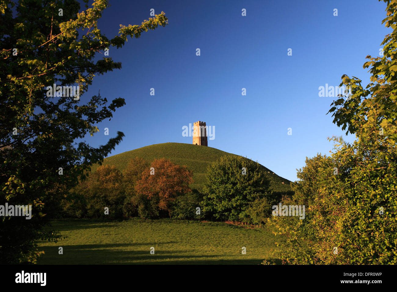 Summer, Glastonbury Tor, St Michael's Tower, Somerset Levels, Somerset County, England, UK Stock Photo