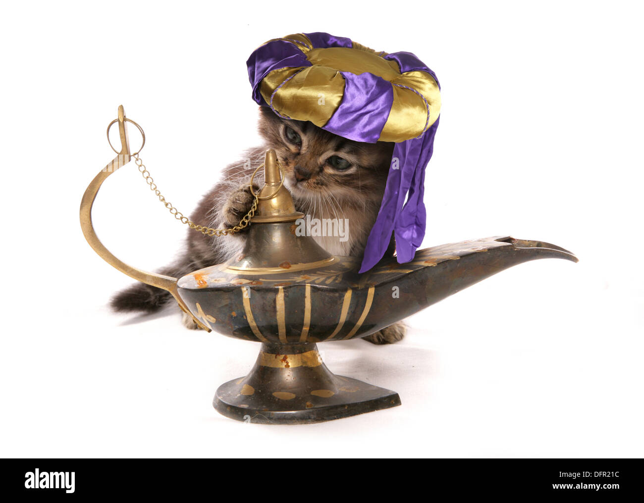 Cat wearing genie hat rubbing a lantern Stock Photo