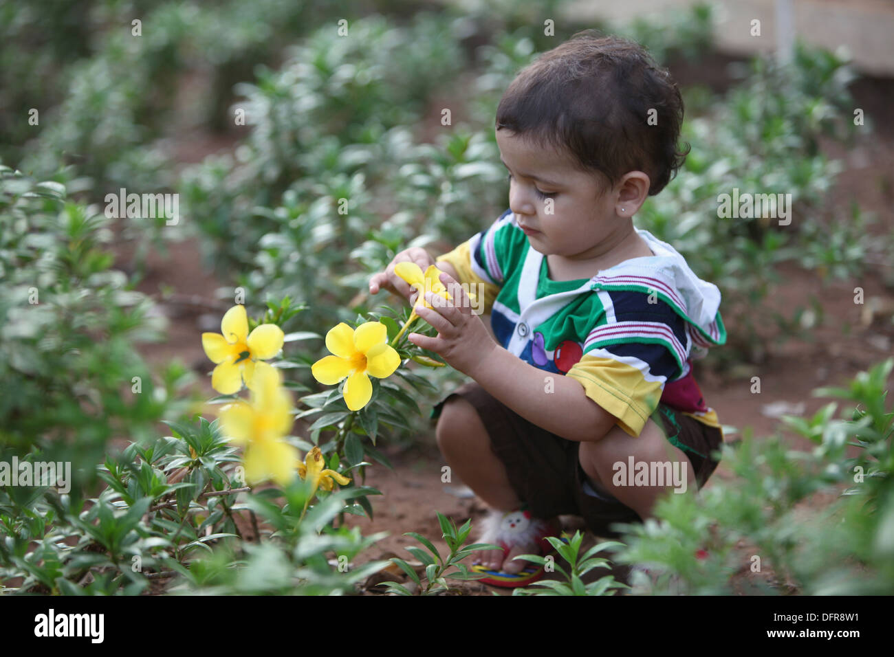 Portrait of a 5 year old indian boy curiously looking at flowers Stock Photo Alamy