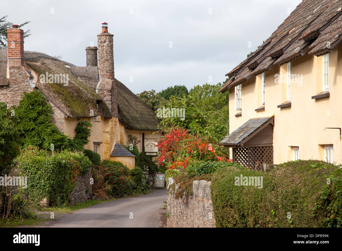 Thatched Cottages In Bossington Village Near Porlock Exmoor