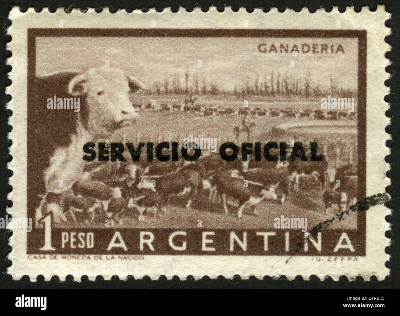 Argentina,post mark,stamp,Livestock, Cattle,bull,herd Stock Photo - Alamy