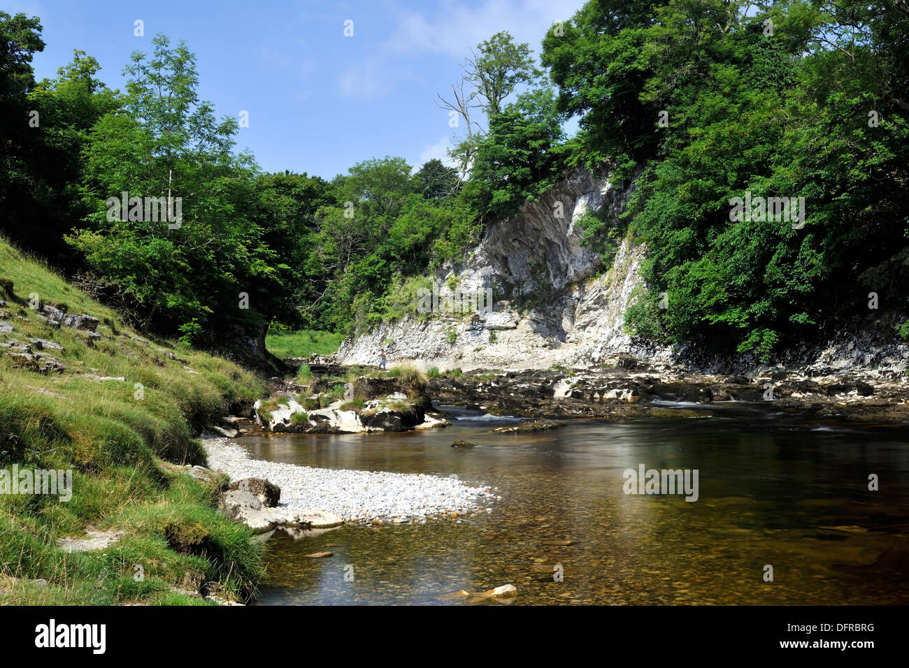 A carboniferous limestone cliff (Loup Scar) on the River Wharfe, Yorkshire Dales National Park, England Stock Photo