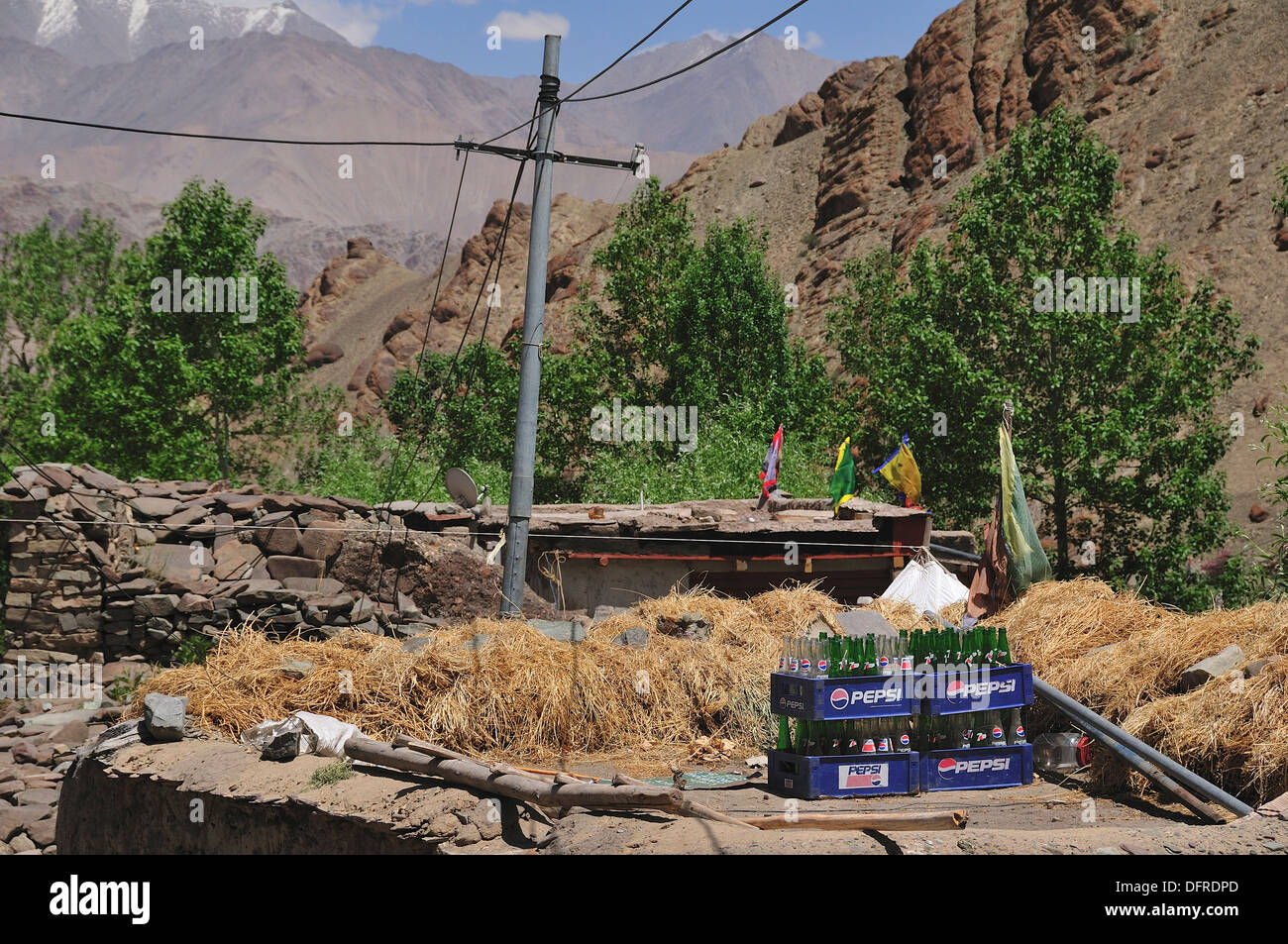 Hemis village where Tibetan Buddhist high landers live Even midsummer it is cold and air is thin. Jammu and Kashmir, India Stock Photo