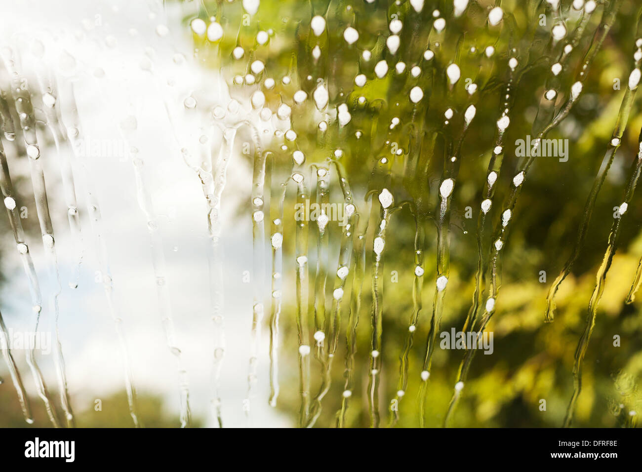 cleaning fluid on car windshield Stock Photo Alamy