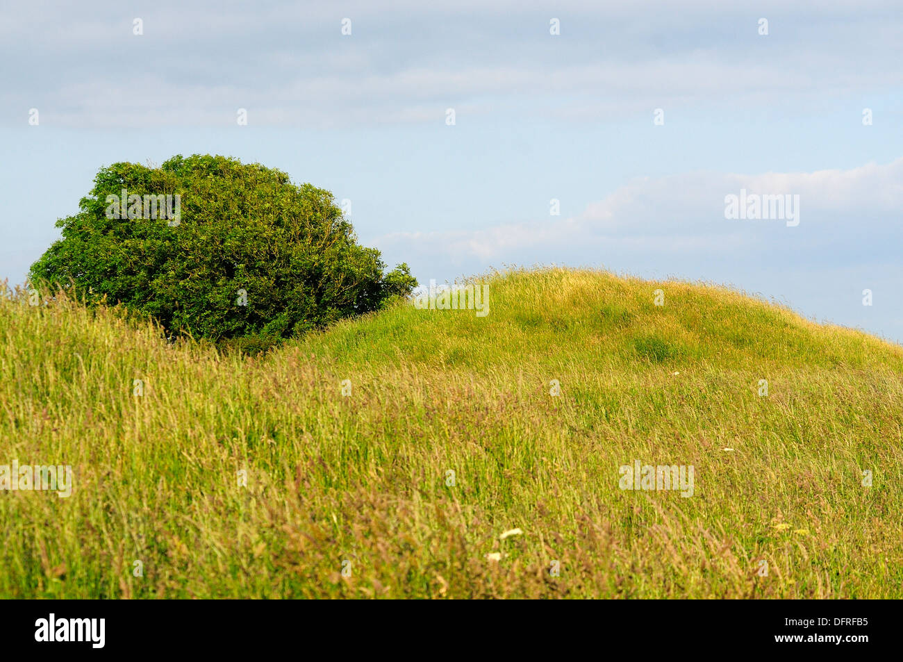 A view of the Five Mary's burial mound Dorset UK Stock Photo