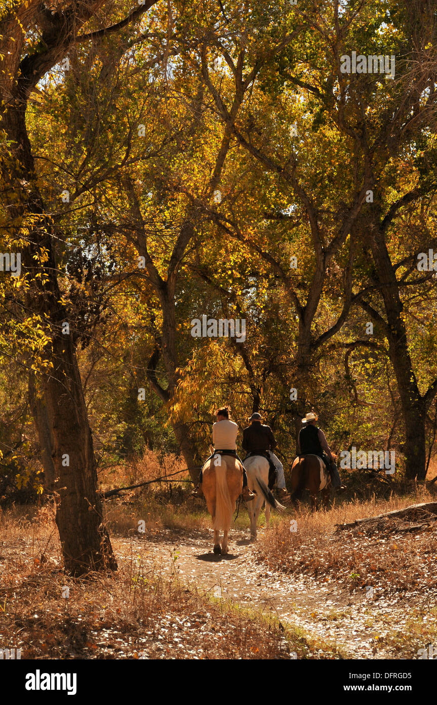 Equestrians ride the Juan Bautista de Anza National Historic Trail, Tucab, Arizona, USA. Stock Photo