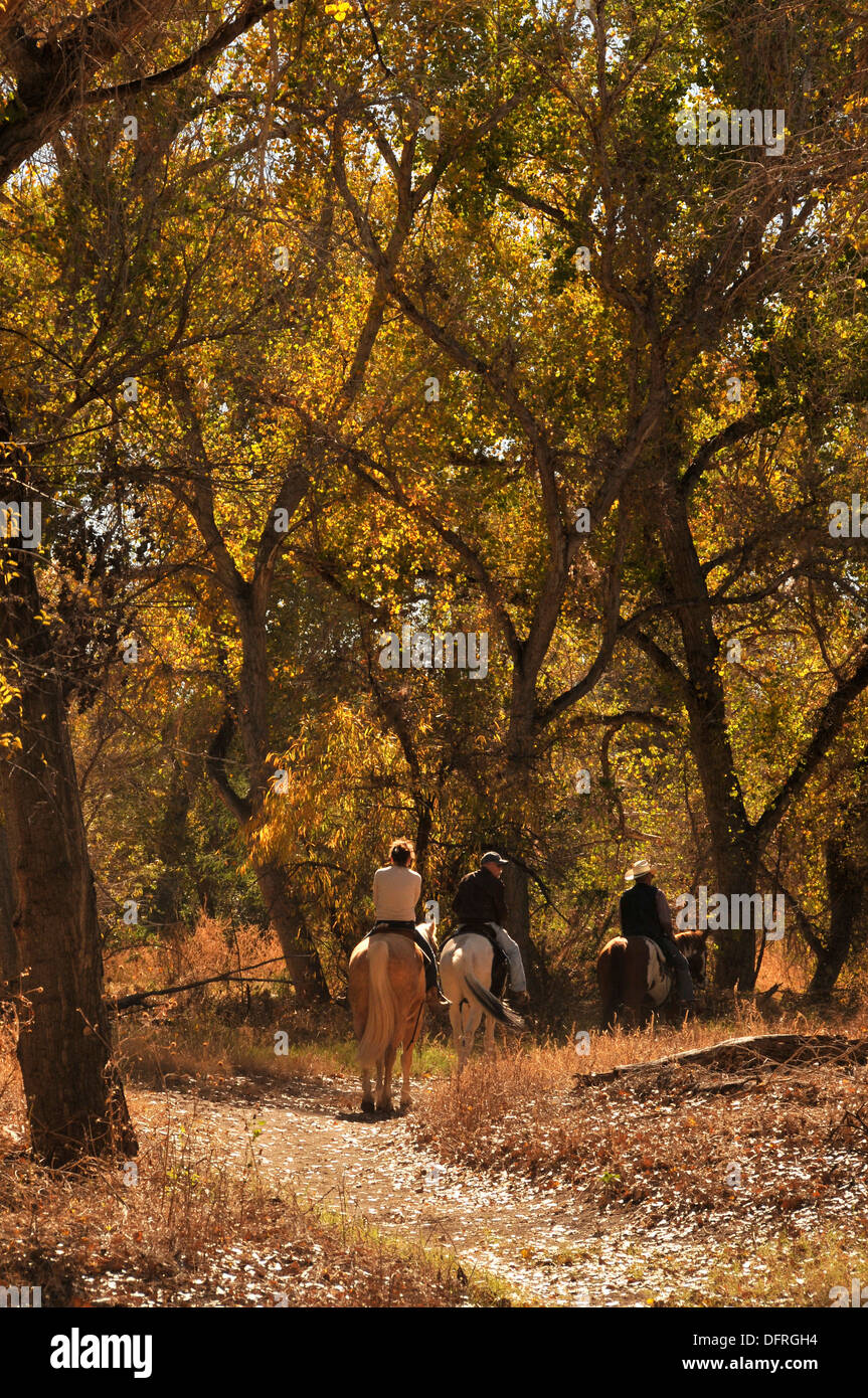 Equestrians ride the Juan Bautista de Anza National Historic Trail, Tucab, Arizona, USA. Stock Photo
