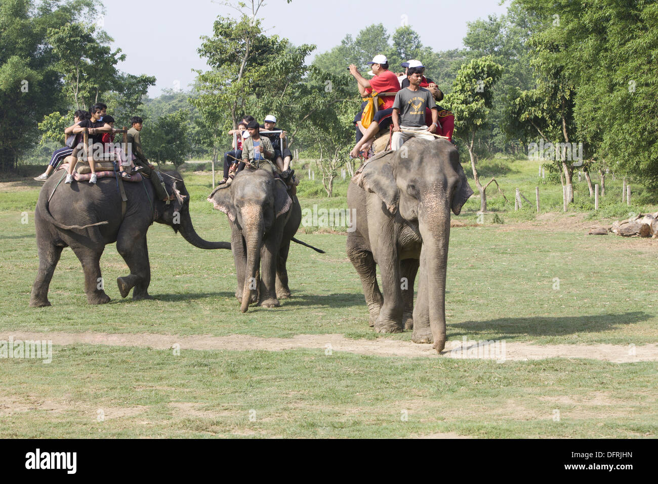 Tourists riding on elephant for elephant safari, Chitwan National Park