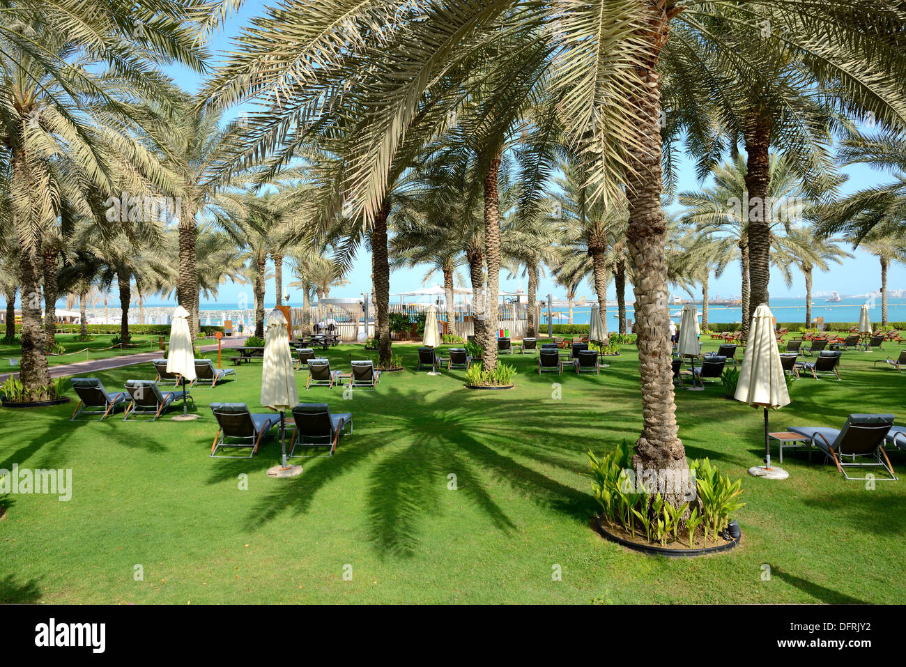 Sunbeds on the green lawn and palm tree shadow in luxury hotel, Dubai