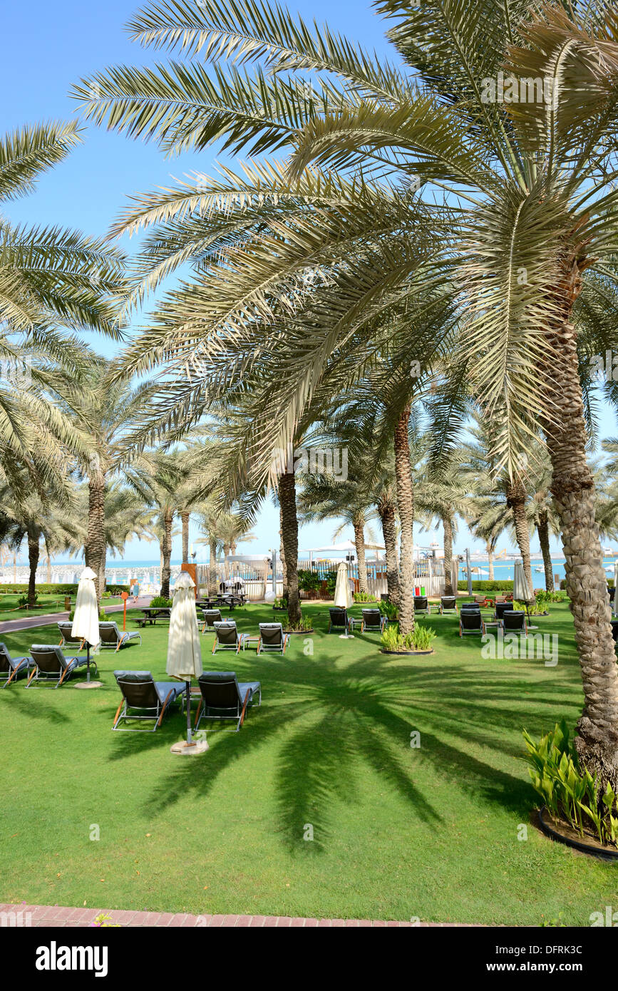 Sunbeds on the green lawn and palm tree shadow in luxury hotel, Dubai