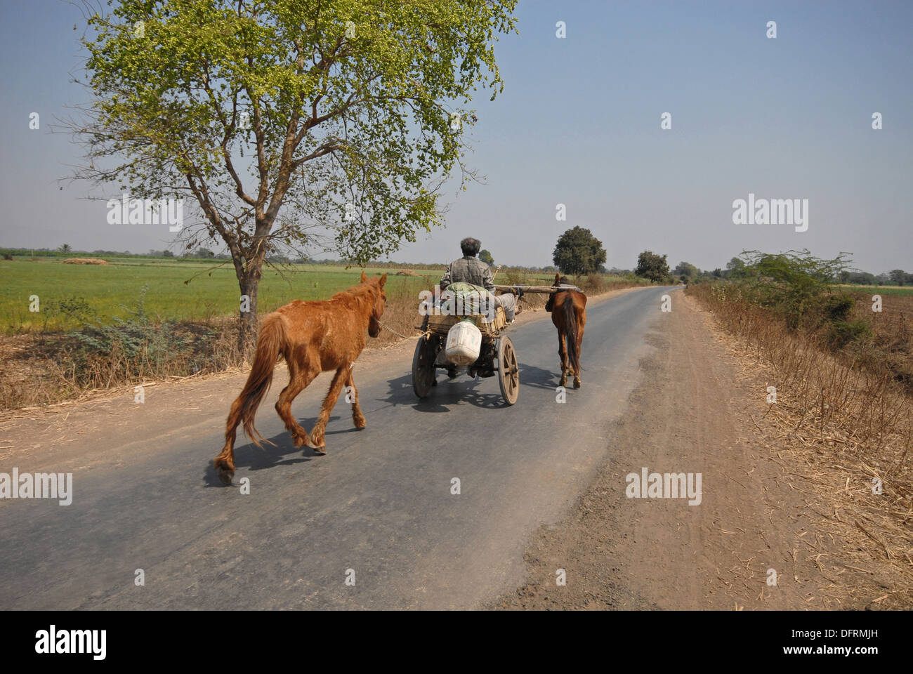 Indian horse and cart hires stock photography and images Alamy