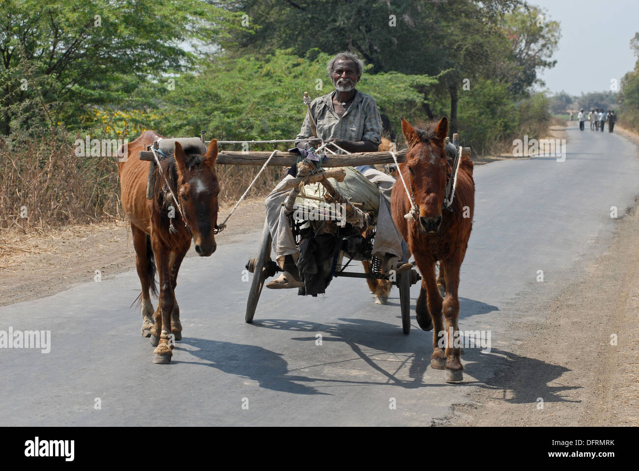 Horse cart on road Stock Photo Alamy