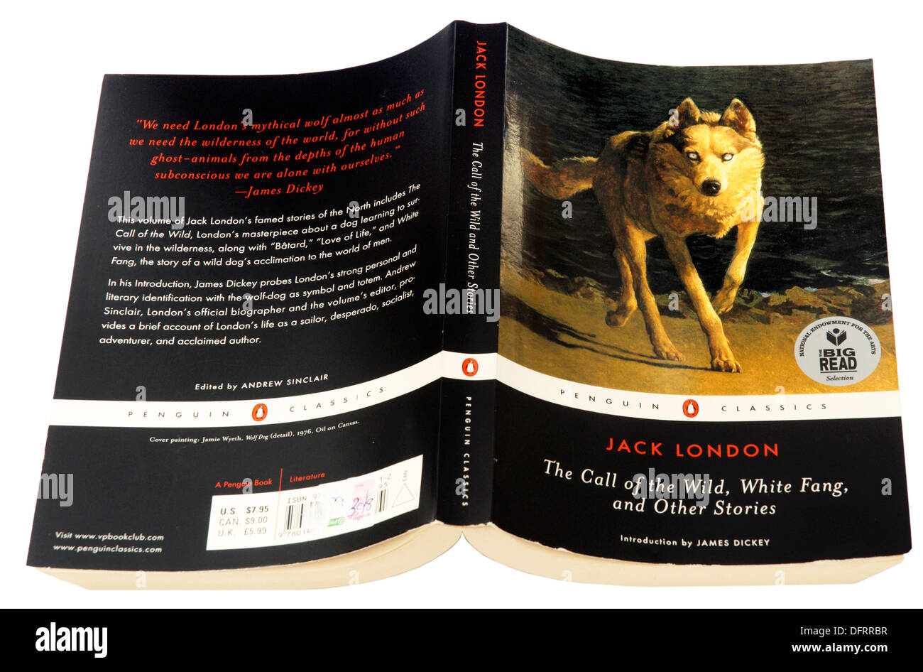 The Call of the Wild by Jack London Stock Photo