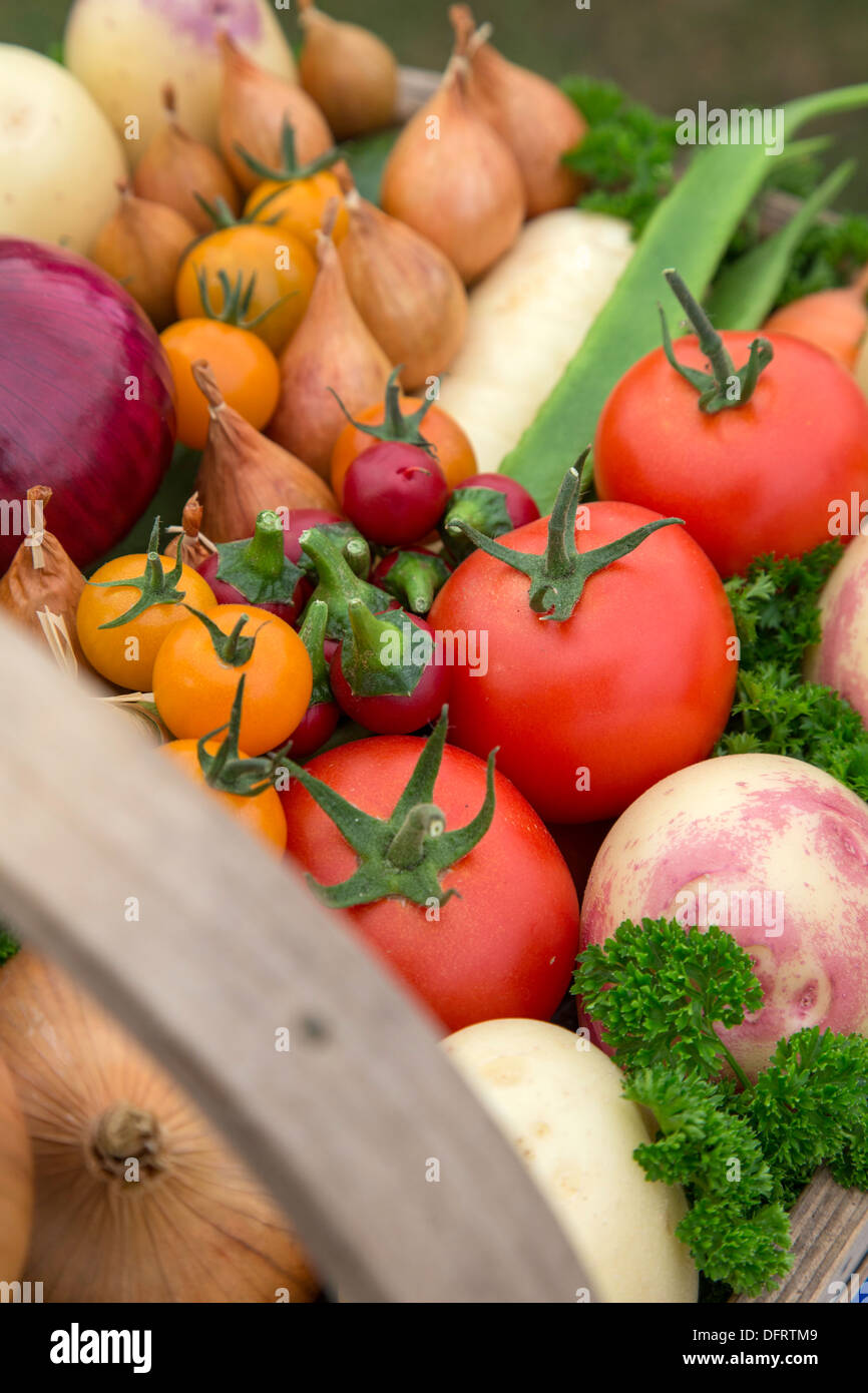 A wooden garden trug full of Vegetables, England, UK Stock Photo