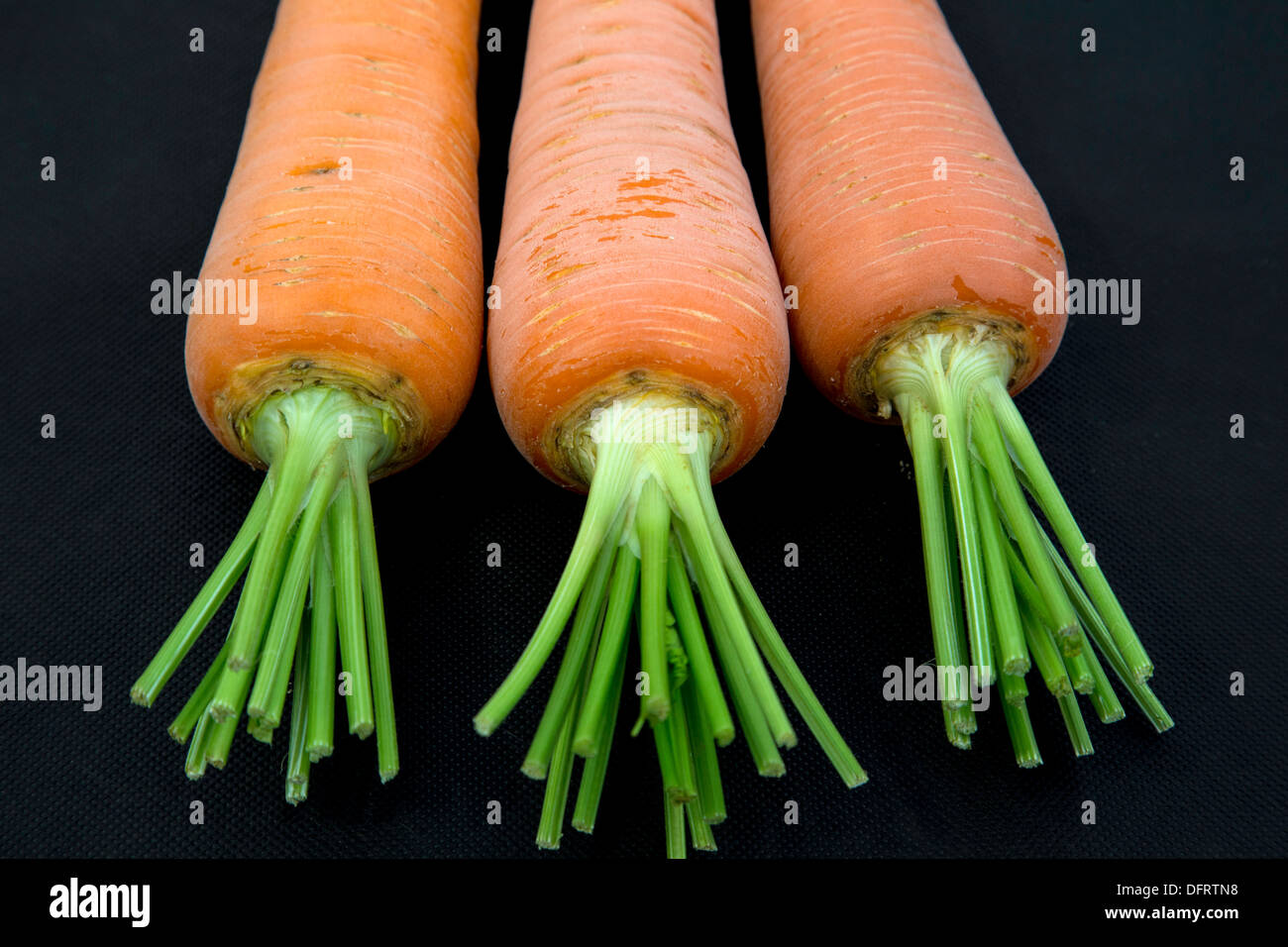 Carrots, England, UK Stock Photo Alamy