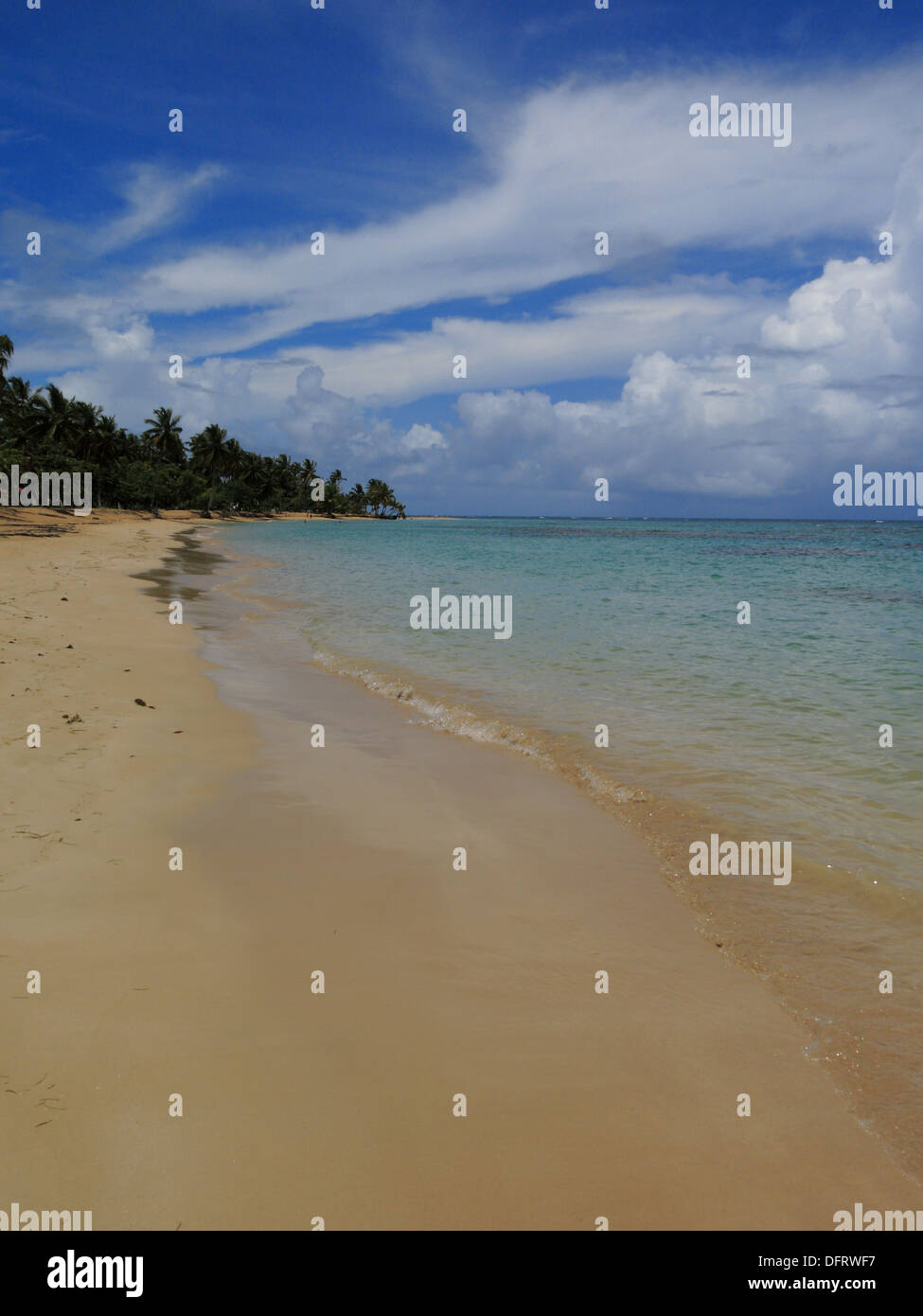 Tropical Beach and Ocean View Postcard Image, Samana area, Dominican Republic, September 2013 Stock Photo