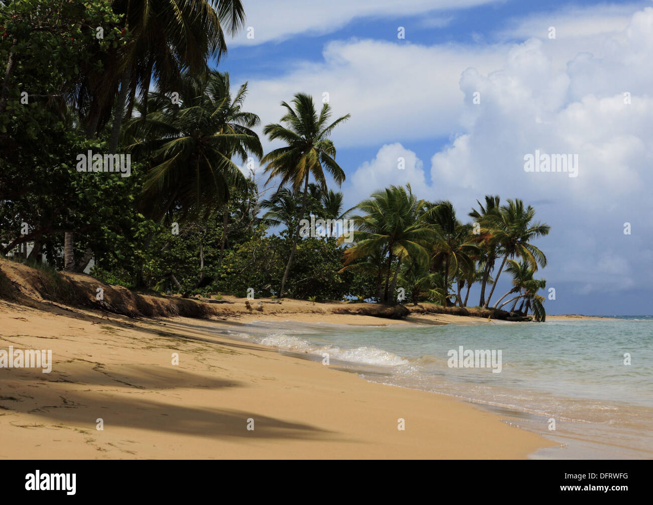 Tropical Beach and Ocean View Postcard Image, Samana area, Dominican Republic, September 2013 Stock Photo