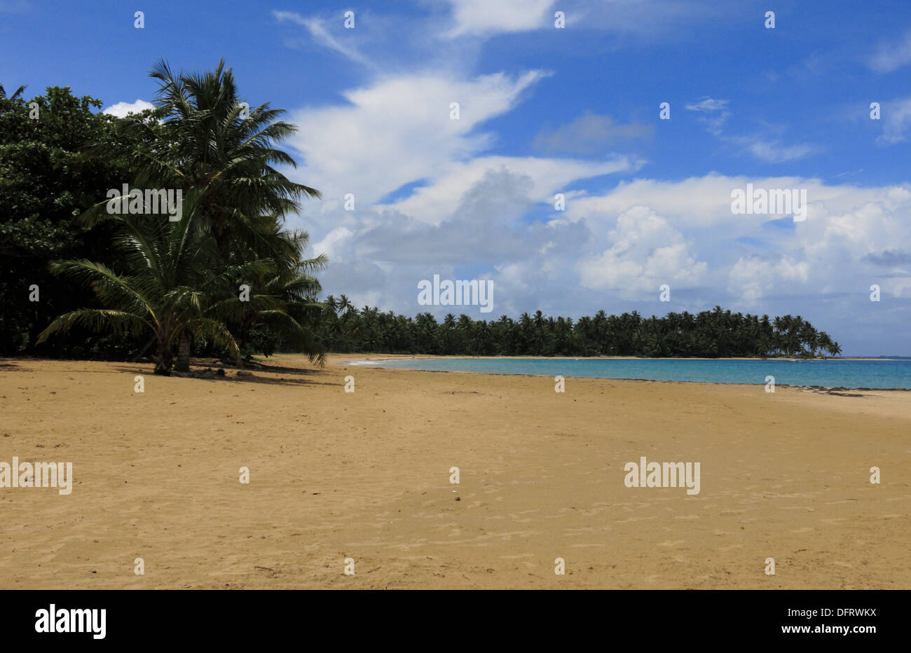 Tropical Beach and Ocean View Postcard Image, Samana area, Dominican Republic, September 2013 Stock Photo