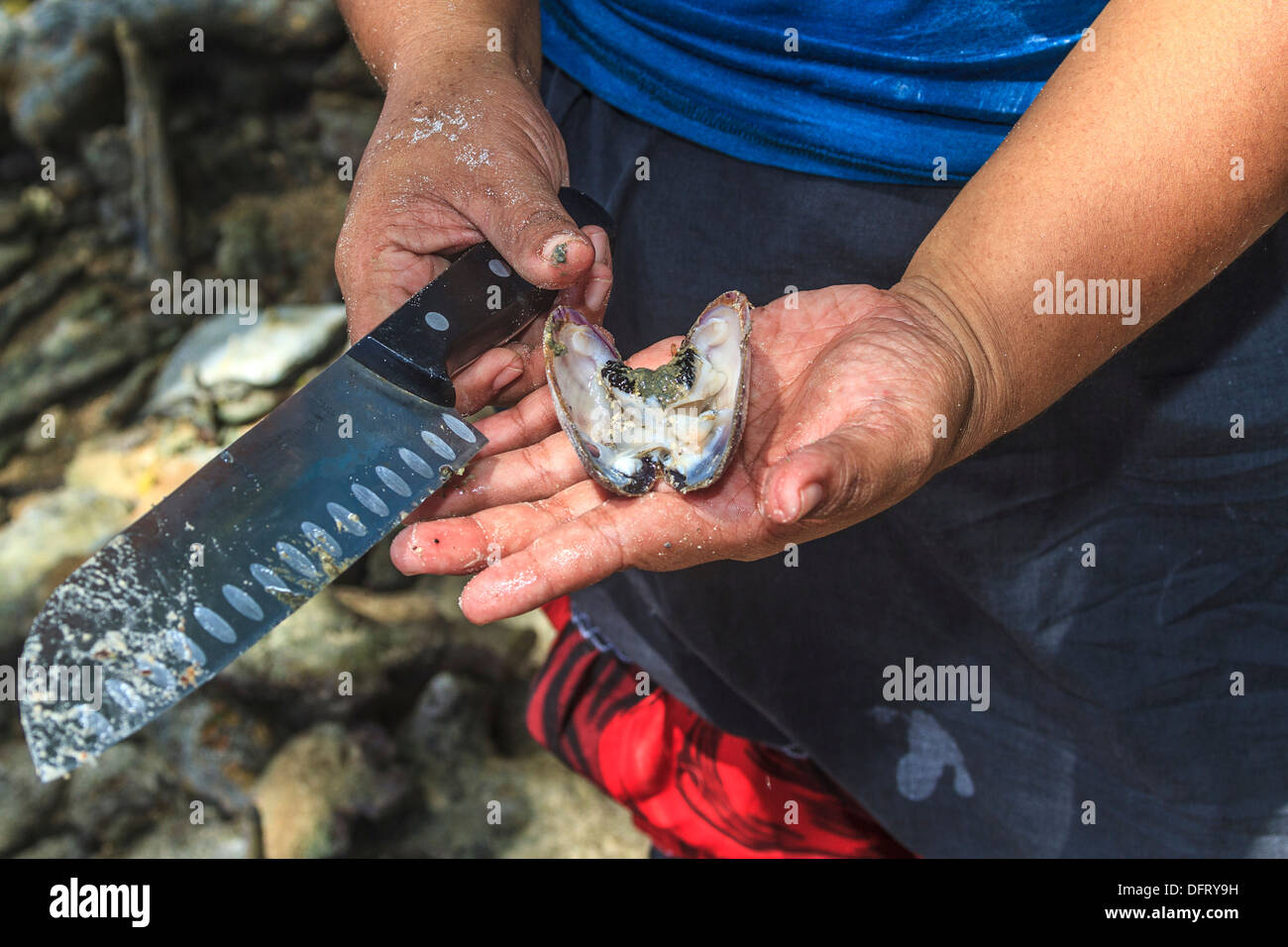 Cutting a fresh raw clam open with a knife before eating it Stock Photo