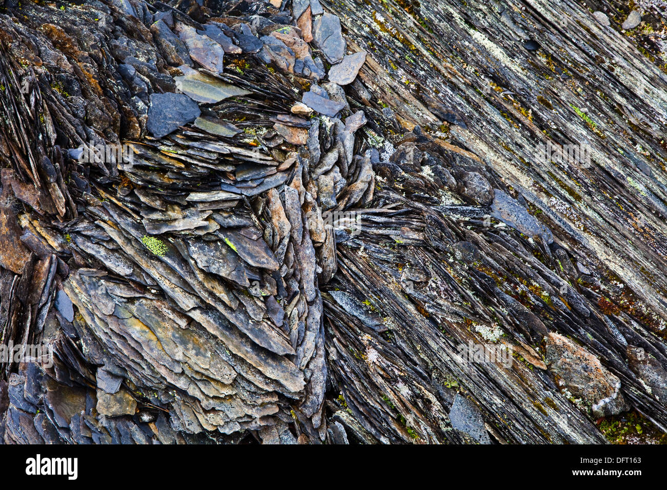 Abstract patterns of Shale rock in the Purcell mountain, Canada Stock Photo