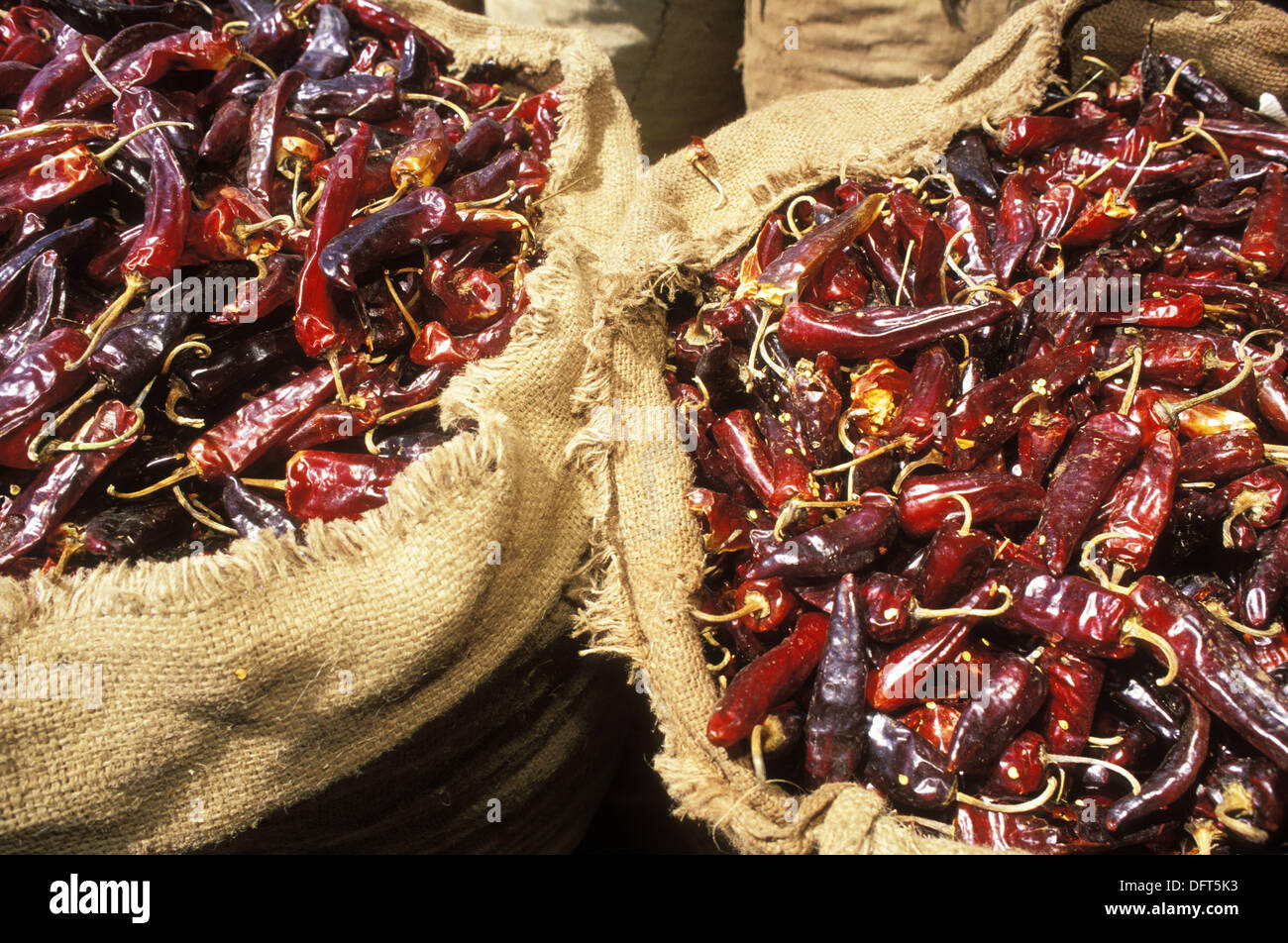 Peppers at market. Denaba village, Kaffa province. Ethiopia Stock Photo