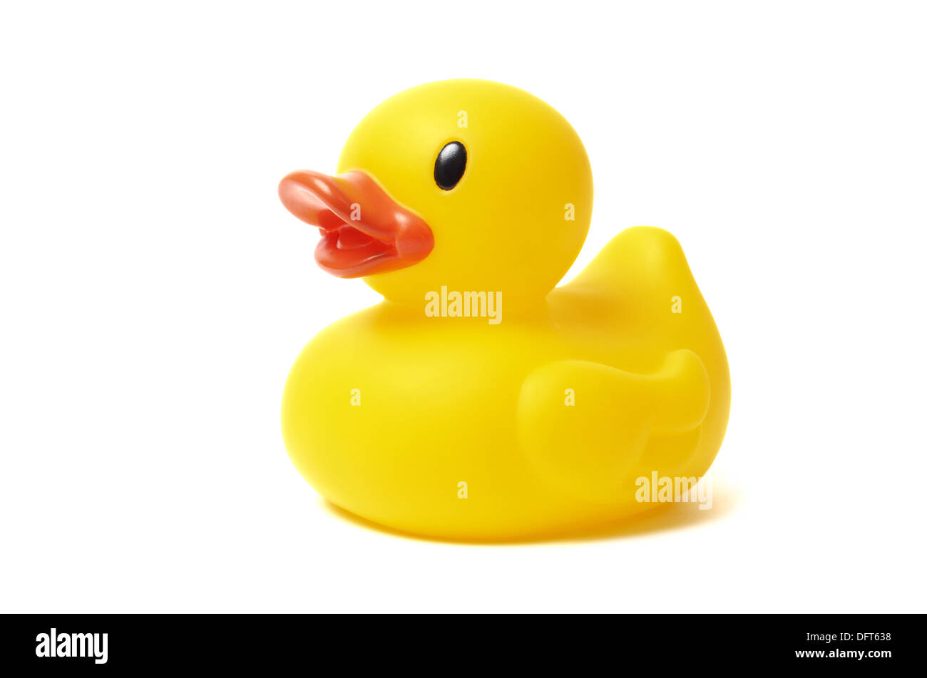 Yellow rubber duck isolated on white background Stock Photo - Alamy