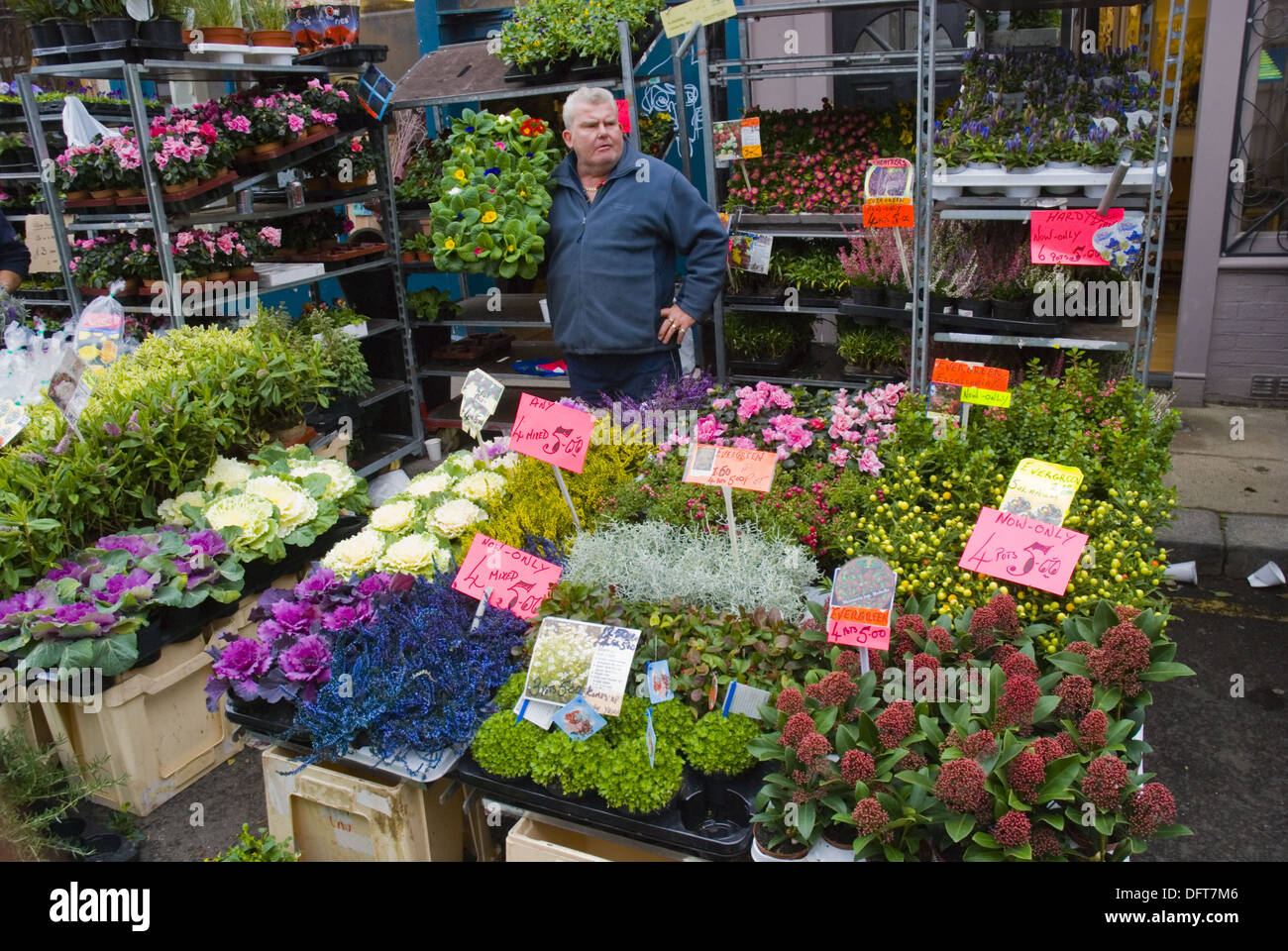 Columbia Road flower market is held on Sundays in East London England