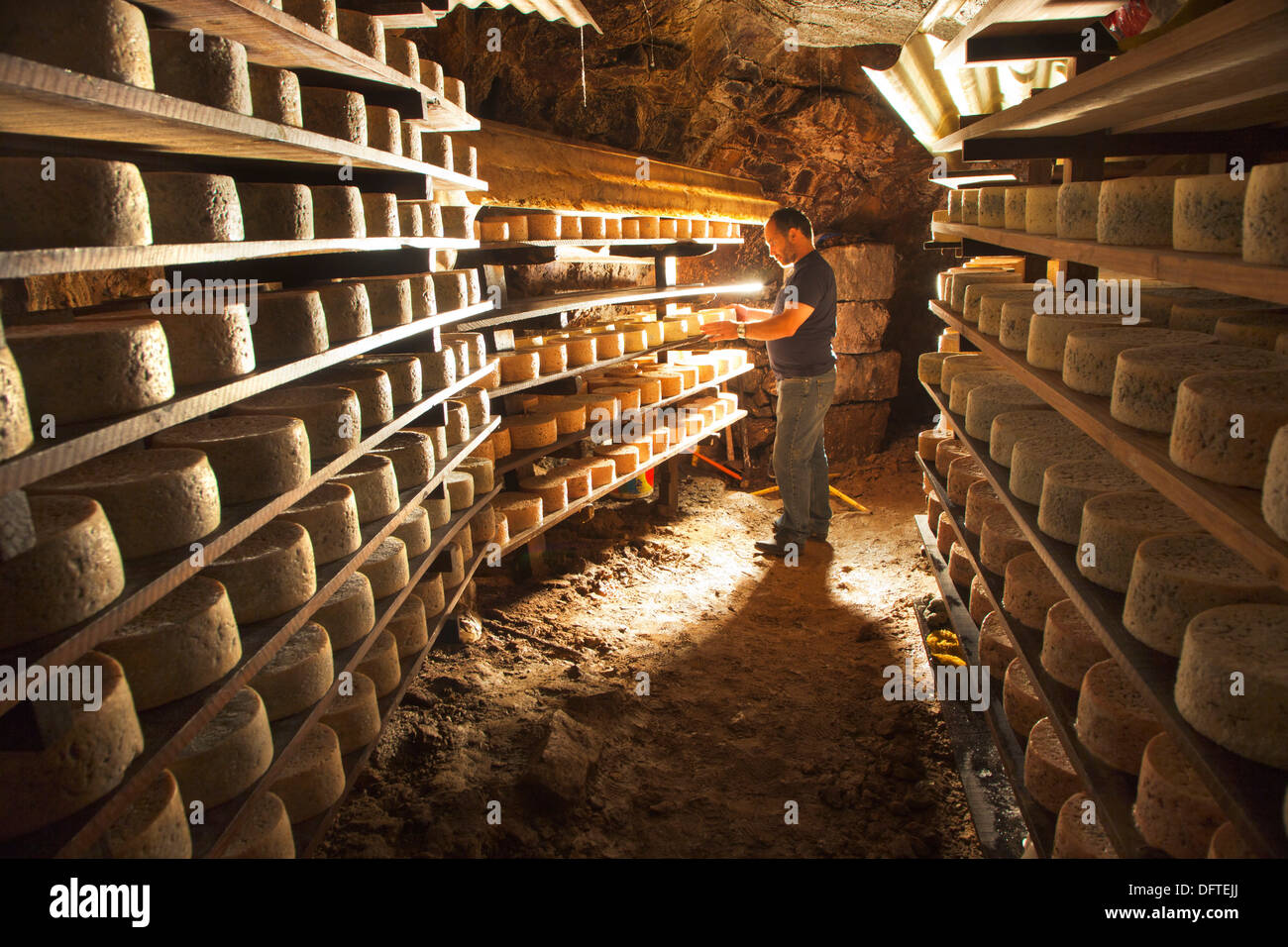 Cabrales Cheese Cave. Cheese fermentation of Bada family. Tielve Stock