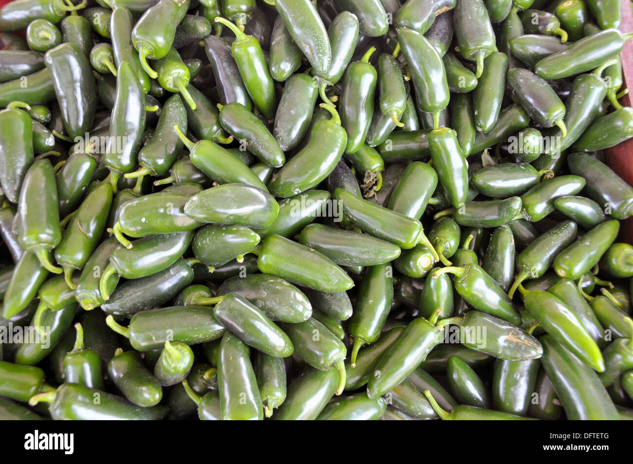 Hot green chili peppers Produce display at farmer´s flea market florida