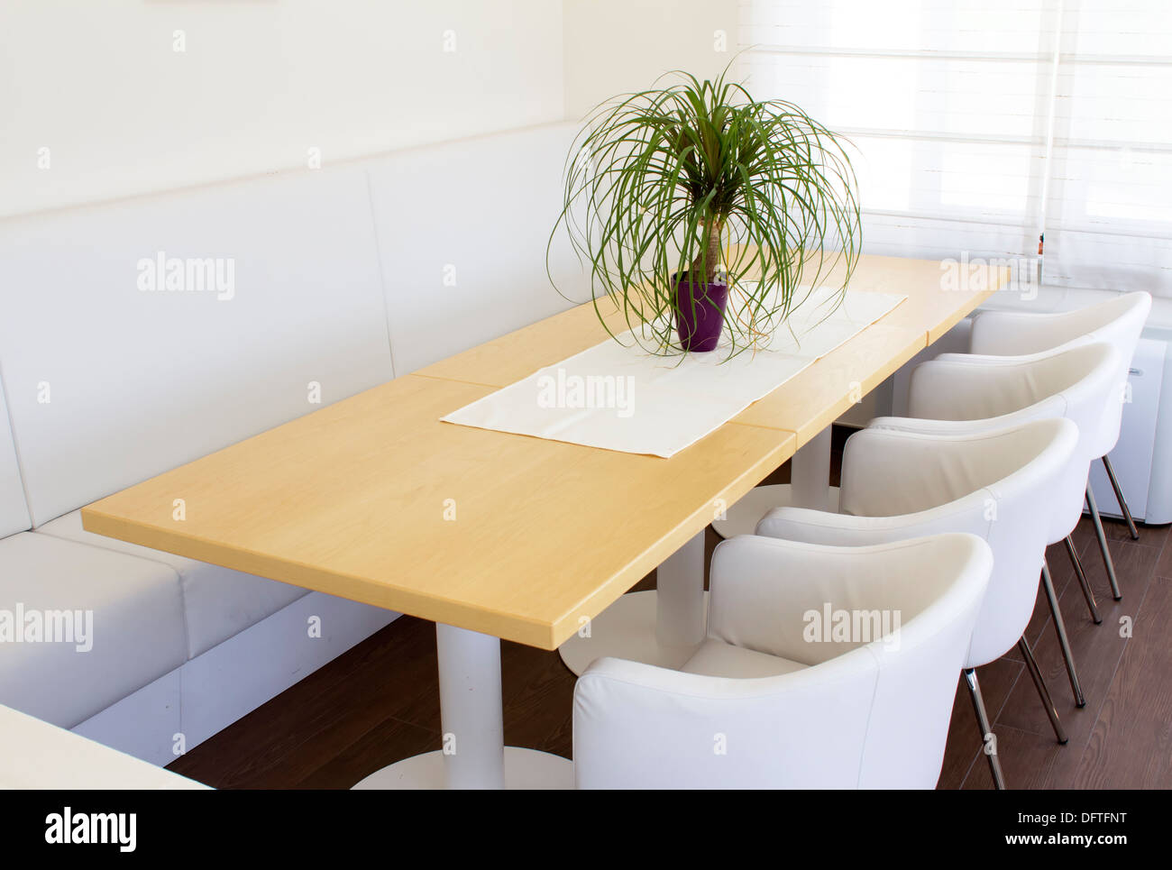 Setup of the business table with white chairs. Stock Photo