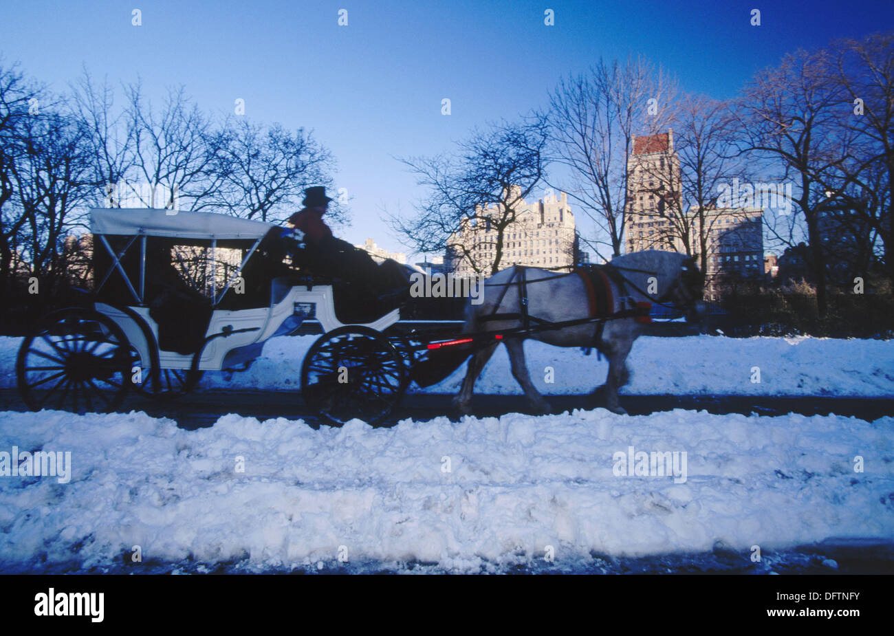Horse carriage central park winter hi-res stock photography and images ...