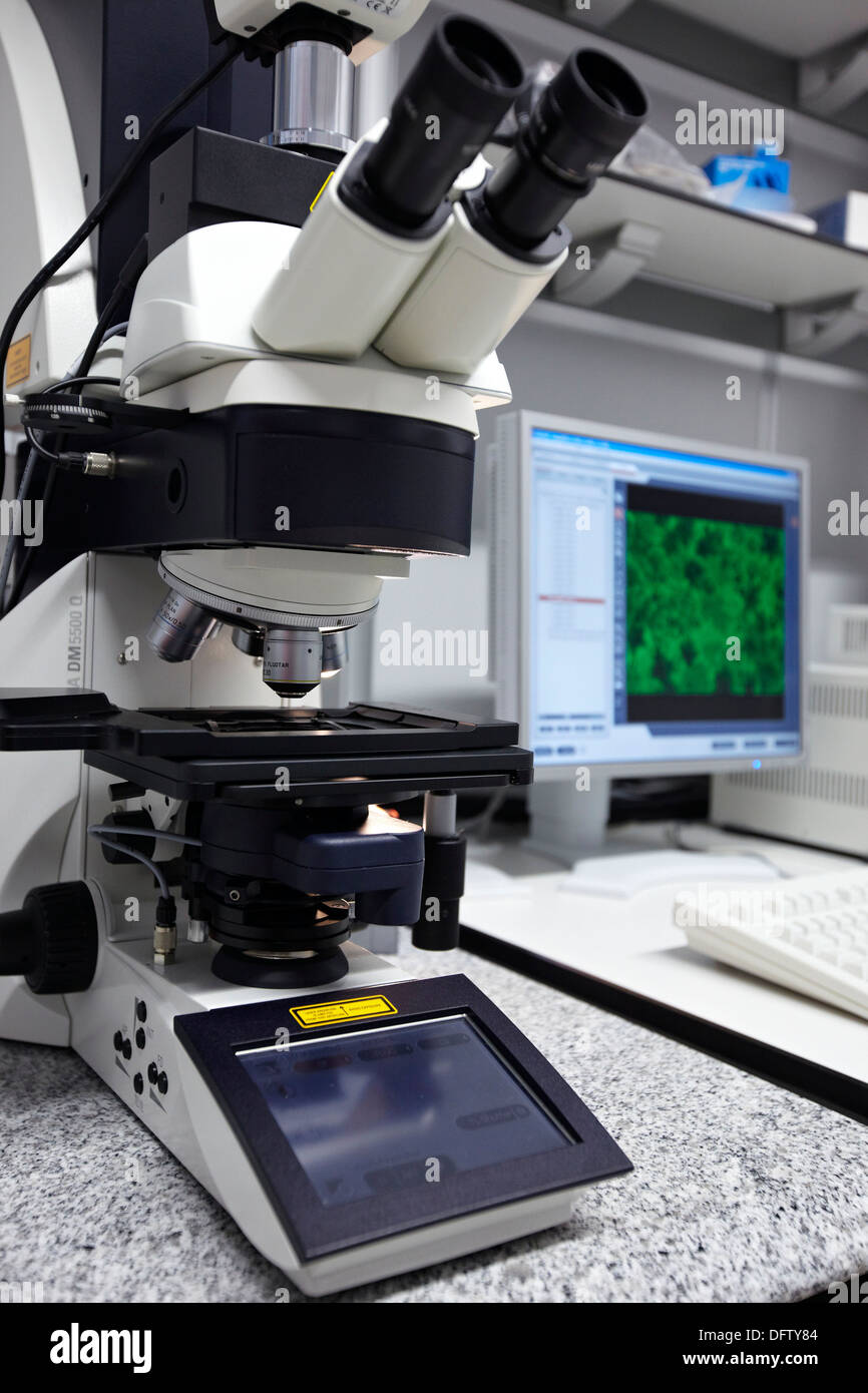 Confocal microscope, Materials Physics Center is a joint center of the Spanish Scientific