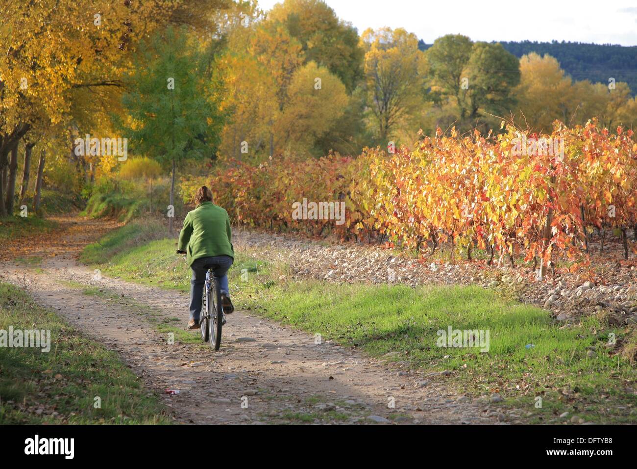 Enjoying Rioja landscape cycling at autumn season, La Rioja, Spain, Europe Stock Photo