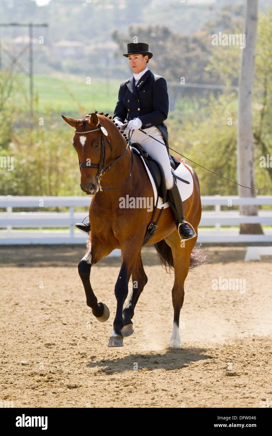Horsepark International Dressage Show Stock Photo Alamy