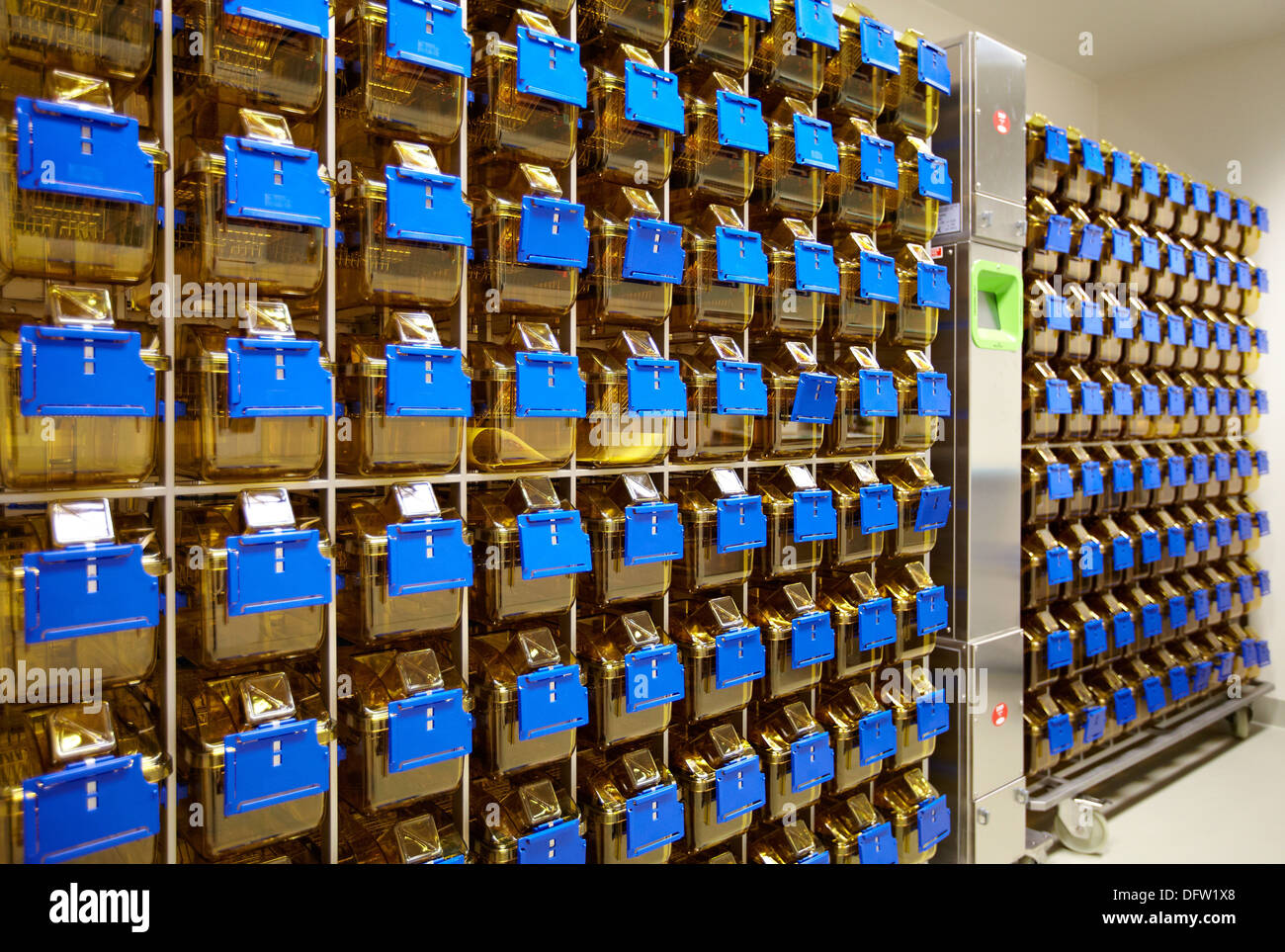 Small animal cages, animal facilities, Biodonostia Health and