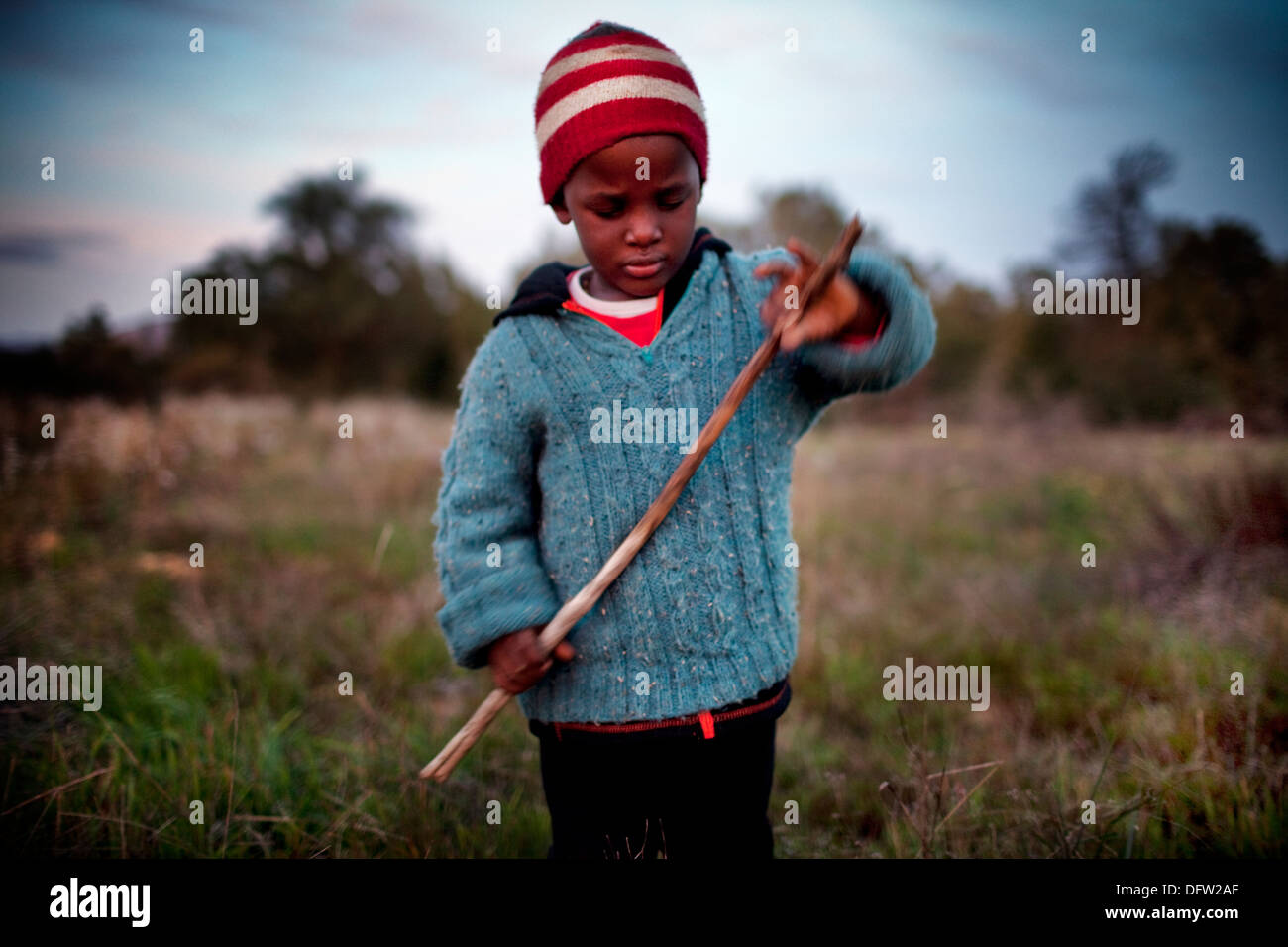 Aya plays with a stick in a field on a farm in Riebeek Kasteel Stock Photo